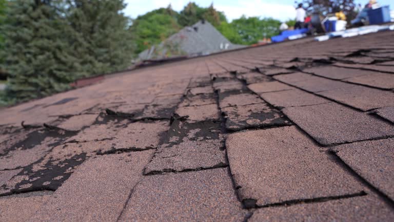 Best 4 Ply Roofing  in Polkton, NC