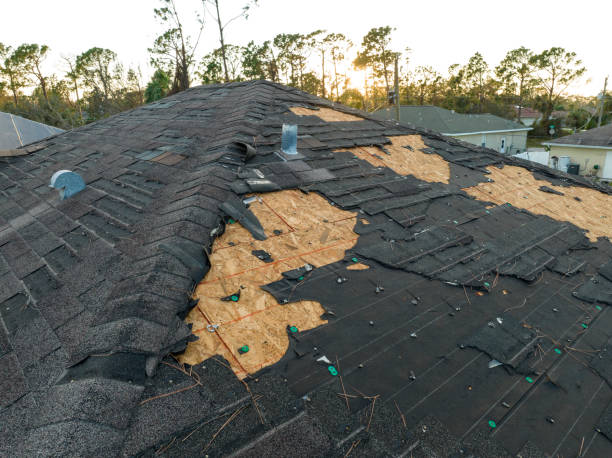 Best Green or Eco-Friendly Roofing Solutions  in Polkton, NC